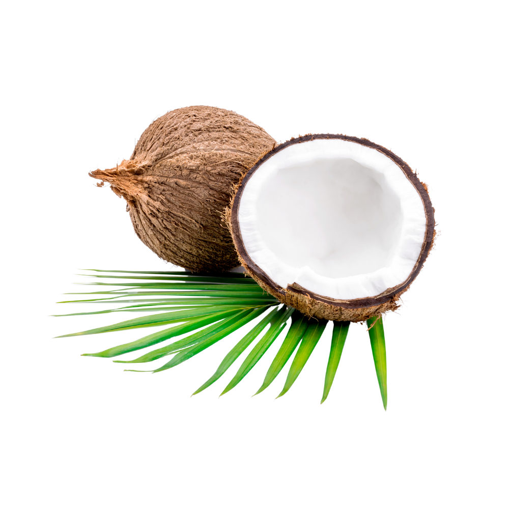 Kokosnuss